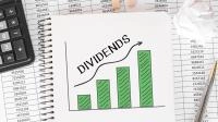What are dividends